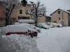 neige le 11 février 2010