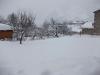 neige le 11 février 2010